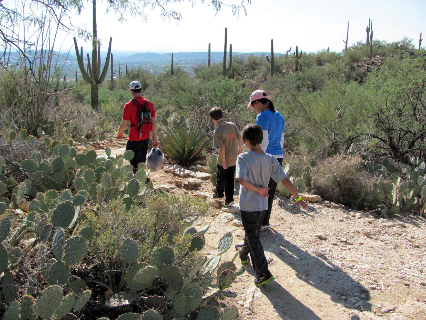 Sabino Canyon Recreation Area, Tucson